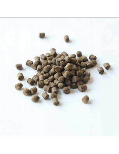 Pellet Aller Aqua Classic 6mm 1kgPellet Aller Aqua Classic da 6 mm, 1 kg.