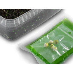 Pellet Box Delphin Reaxe Ready&Go Czosnek-Kwas Masłowy DELPHIN - 1 2