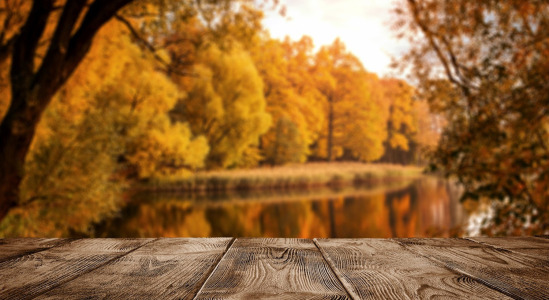 Abbigliamento da pesca per l'autunno: come scegliere i vestiti caldi per una seduta in acqua?