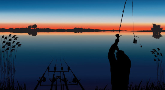 Pesca a feeder nel lago: cosa vale la pena di sapere?