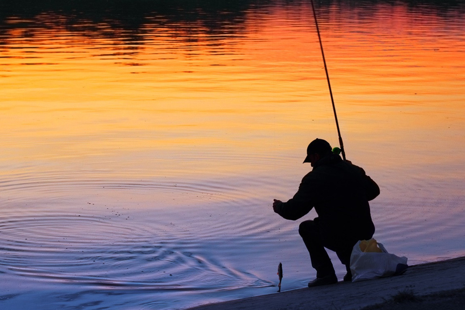 La pesca a canna nei canali: una guida